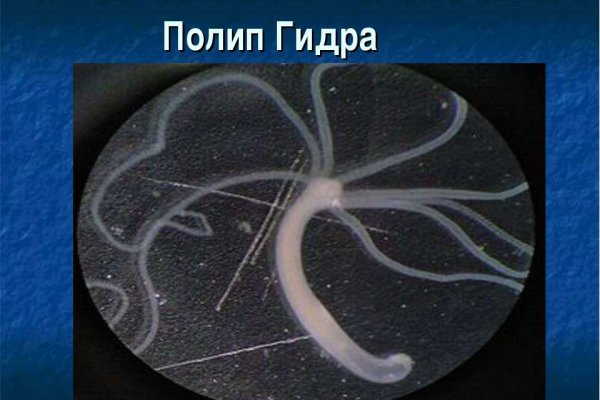 Кракен сайт нарк