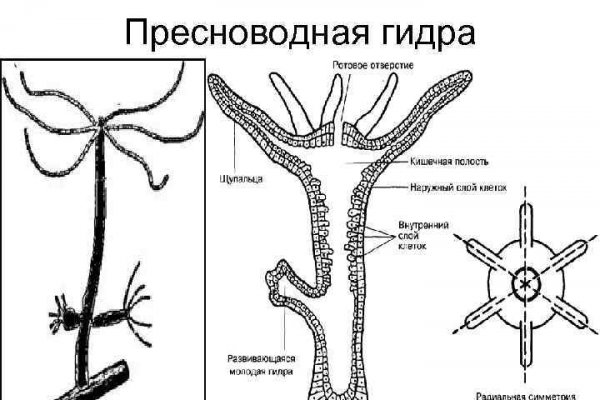 Кракен даркнет зеркало пв