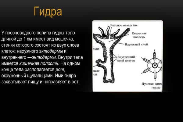 Какой нужен тор чтоб зайти в кракен