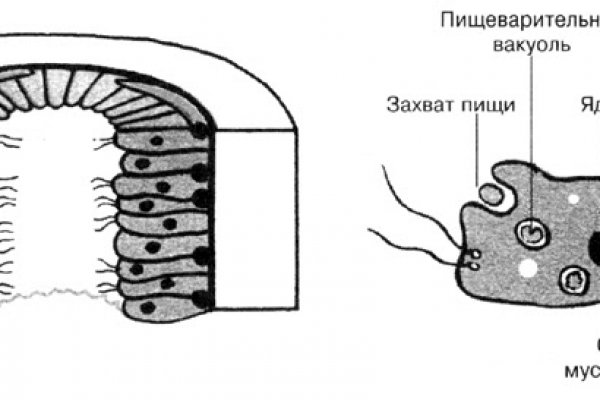 Кракен продажа наркотиков