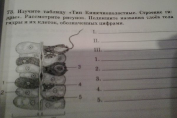 Только через тор кракен