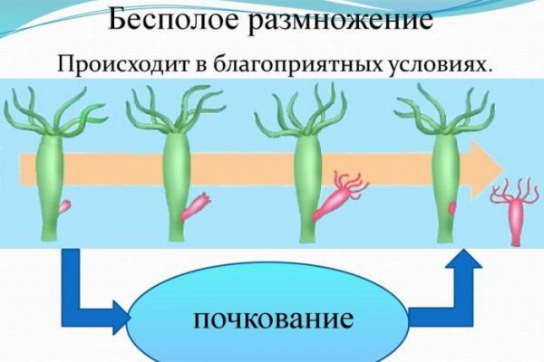 Даркнет зеркало